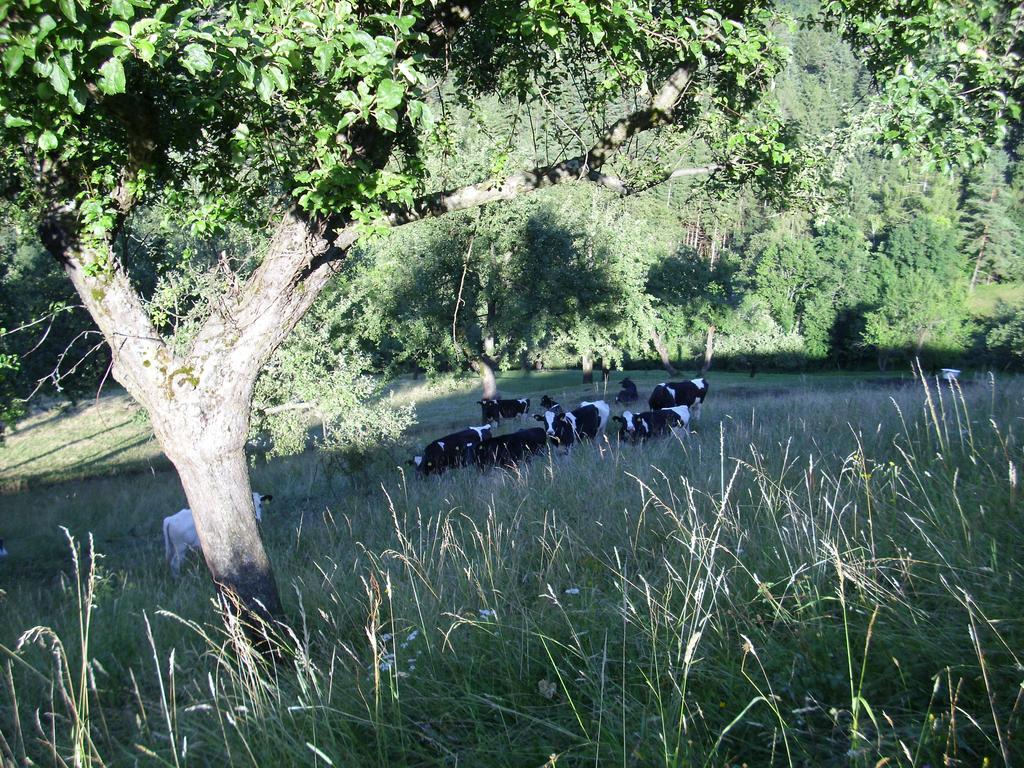 Farm Stay Zagar Mozirje Kültér fotó