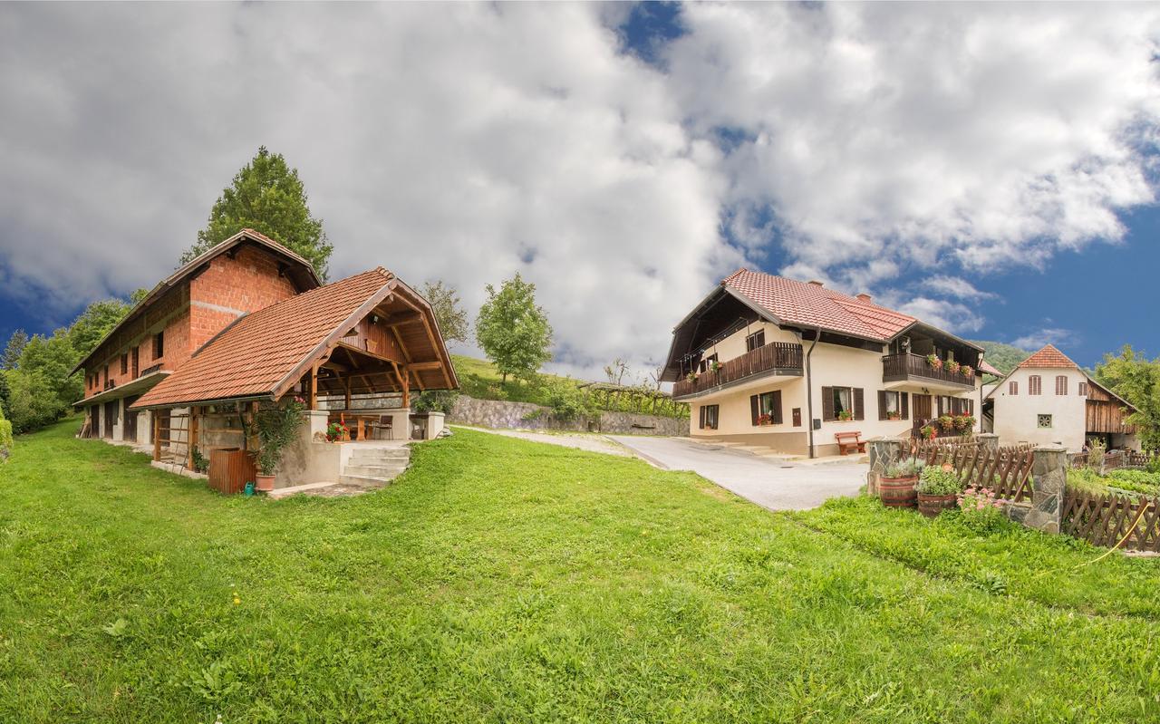 Farm Stay Zagar Mozirje Kültér fotó