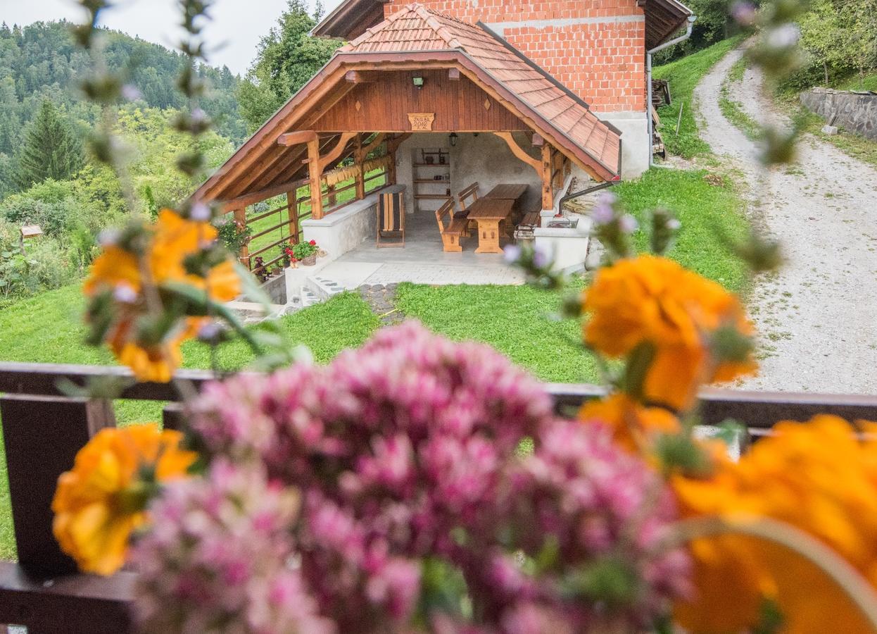 Farm Stay Zagar Mozirje Kültér fotó