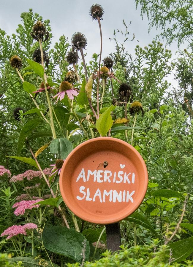 Farm Stay Zagar Mozirje Kültér fotó